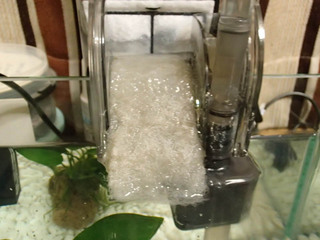 kpbl-154.jpg