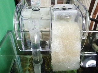 kpbl-215.jpg
